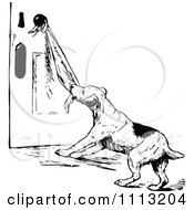 Clipart Vintage Black And White Dog Pulling On A Towel On A Door Knob Royalty Free Vector Illustration