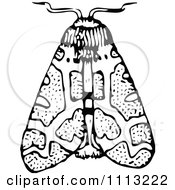 Clipart Vintage Black And White Moth Royalty Free Vector Illustration by Prawny Vintage