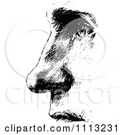 Clipart Vintage Black And White Mans Nose 1 Royalty Free Vector Illustration