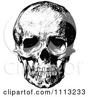 Poster, Art Print Of Vintage Black And White Human Skull 1
