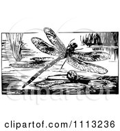 Clipart Vintage Black And White Dragonfly Over A Pond Royalty Free Vector Illustration by Prawny Vintage