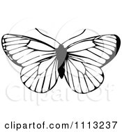 Clipart Black And White Butterfly Royalty Free Vector Illustration by Prawny Vintage