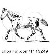 Poster, Art Print Of Vintage Black And White Trotting Horse