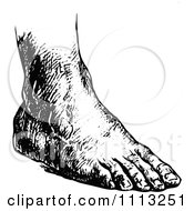 Poster, Art Print Of Vintage Black And White Human Foot 1