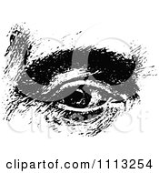 Clipart Vintage Black And White Male Human Eye Royalty Free Vector Illustration