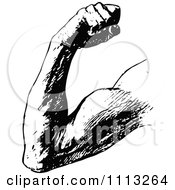 Clipart Vintage Black And White Arm Flexing A Bicep Muscle Royalty Free Vector Illustration by Prawny Vintage