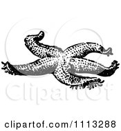 Clipart Vintage Black And White Starfish Royalty Free Vector Illustration