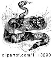 Clipart Vintage Black And White Snake Royalty Free Vector Illustration by Prawny Vintage