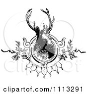 Vintage Black And White Deer Stag Mounted