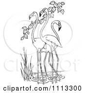 Clipart Three Wading Flamingos Royalty Free Vector Illustration