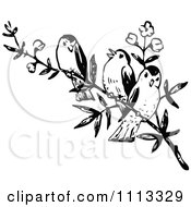 Clipart Three Vintage Black And White Birds On A Branch Royalty Free Vector Illustration
