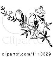 Poster, Art Print Of Three Vintage Black And White Birds On A Branch