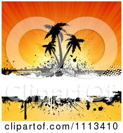 Poster, Art Print Of Grungy Silhouetted Palm Trees Over Grunge Against Rays