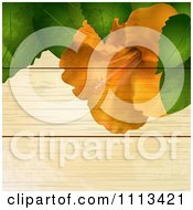 Clipart Orange Hibiscus Flower And Leaves Over Grungy Wood Royalty Free Vector Illustration by elaineitalia
