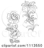Poster, Art Print Of Black And White Lily And Wild Flowers