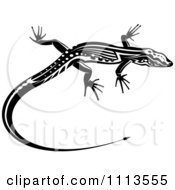Clipart Black And White Tribal Lizard 14 Royalty Free Vector Illustration