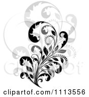 Poster, Art Print Of Black Floral Scroll Over Gray 2