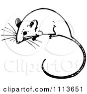Poster, Art Print Of Vintage Black And White Mouse