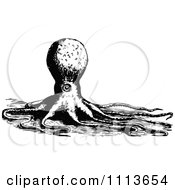 Clipart Vintage Black And White Octopus 4 Royalty Free Vector Illustration by Prawny Vintage