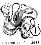 Poster, Art Print Of Vintage Black And White Octopus 5