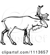 Poster, Art Print Of Vintage Black And White Stag Deer