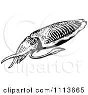 Clipart Vintage Black And White Squid Royalty Free Vector Illustration