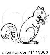 Clipart Vintage Black And White Squirrel Eating A Nut Royalty Free Vector Illustration