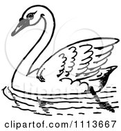 Poster, Art Print Of Vintage Black And White Swimming Swan