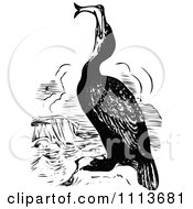 Clipart Vintage Black And White Cormorant Eating A Fish Royalty Free Vector Illustration