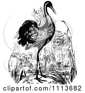 Poster, Art Print Of Vintage Black And White Crane