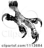 Clipart Vintage Black And White Eagle Talons Royalty Free Vector Illustration by Prawny Vintage