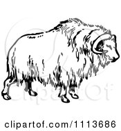 Clipart Vintage Black And White Musk Ox Royalty Free Vector Illustration