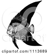 Poster, Art Print Of Vintage Black And White Tropical Marine Fish 1