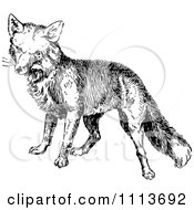 Clipart Vintage Black And White Fox Royalty Free Vector Illustration