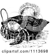 Poster, Art Print Of Vintage Black And White Hermit Crab And Anemone