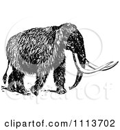 Poster, Art Print Of Vintage Black And White Wooly Mammoth 2