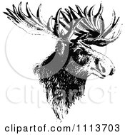 Poster, Art Print Of Vintage Black And White Moose Head