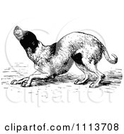 Clipart Vintage Black And White Dog Bowing Royalty Free Vector Illustration by Prawny Vintage