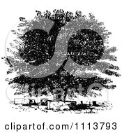 Poster, Art Print Of Vintage Black And White Oak Tree