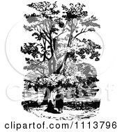 Poster, Art Print Of Vintage Black And White People Under A Plane Tree