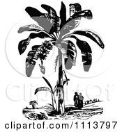 Poster, Art Print Of Vintage Black And White People Under A Plantain Tree