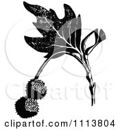 Clipart Retro Black And White Sycamore Fruits Royalty Free Vector Illustration