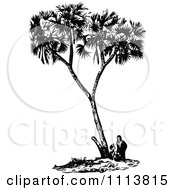 Poster, Art Print Of Vintage Black And White People Under A Date Palm Tree