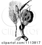 Clipart Vintage Black And White Corn Ear And Plant Royalty Free Vector Illustration