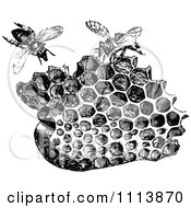 Poster, Art Print Of Vintage Black And White Honeycombs And Bees