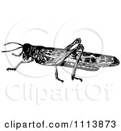 Clipart Vintage Black And White Locust 2 Royalty Free Vector Illustration