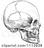 Clipart Vintage Black And White Human Skull 3 Royalty Free Vector Illustration by Prawny Vintage