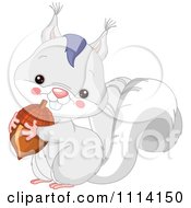 Cute White Squirrel Holding An Acorn