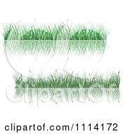 Poster, Art Print Of Green Grassy Borders And Reflections