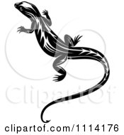 Clipart Black And White Tribal Lizard 15 Royalty Free Vector Illustration